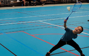 Le bad c'est chouette !
(mais il va falloir redescendre ce doigt Wallis !)