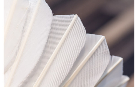 Les horaires adultes, et enfants (par catégories d'âge)